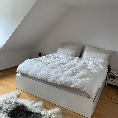 Appartamento 3 Mit Dachterrasse Zurigo